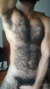 sirdobermann