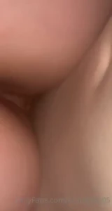 18631526
