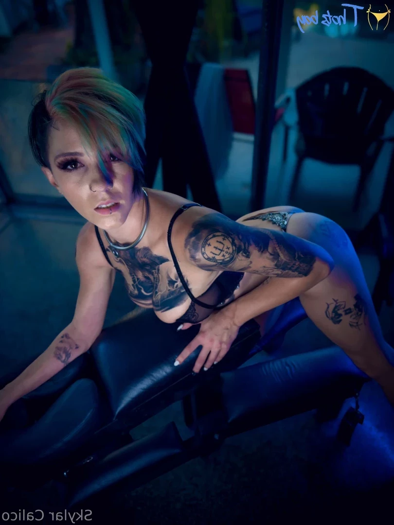 skylarcalico Onlyfans leaked photo 18633558 on Hotleaks.tv