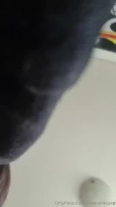 18633404