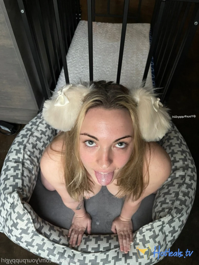 Jenna [ yourpuppygirl ] Onlyfans leaked photo 12962518 on Hotleaks.tv