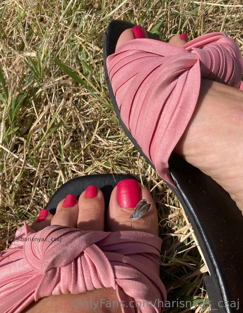 harisnyas_csaj [ harisnyas-csaj ] Onlyfans leaked photo 18684350 on Hotleaks.tv