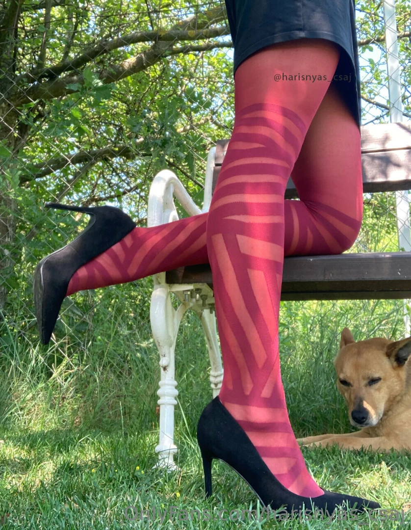harisnyas_csaj [ harisnyas-csaj ] Onlyfans leaked photo 18684709 on Hotleaks.tv