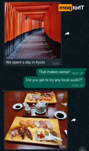 15399039