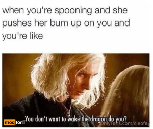 15973652