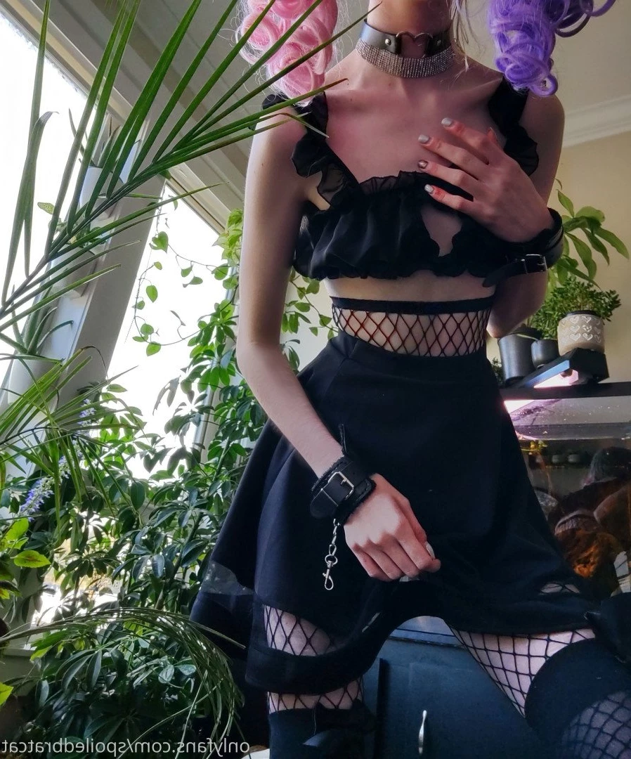 𝗖𝗔𝗧 🎮 [ spoiledbratcat ] Onlyfans leaked photo 4166321 on Hotleaks.tv