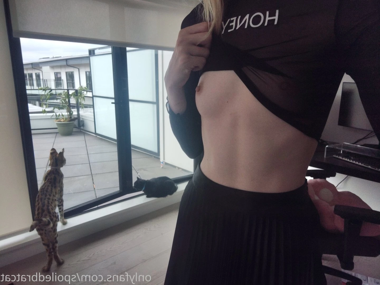 𝗖𝗔𝗧 🎮 [ spoiledbratcat ] Onlyfans leaked photo 4183406 on Hotleaks.tv