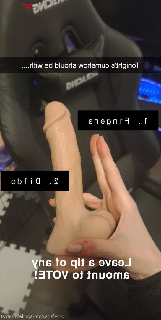 𝗖𝗔𝗧 🎮 [ spoiledbratcat ] Onlyfans leaked photo 4225920 on Hotleaks.tv