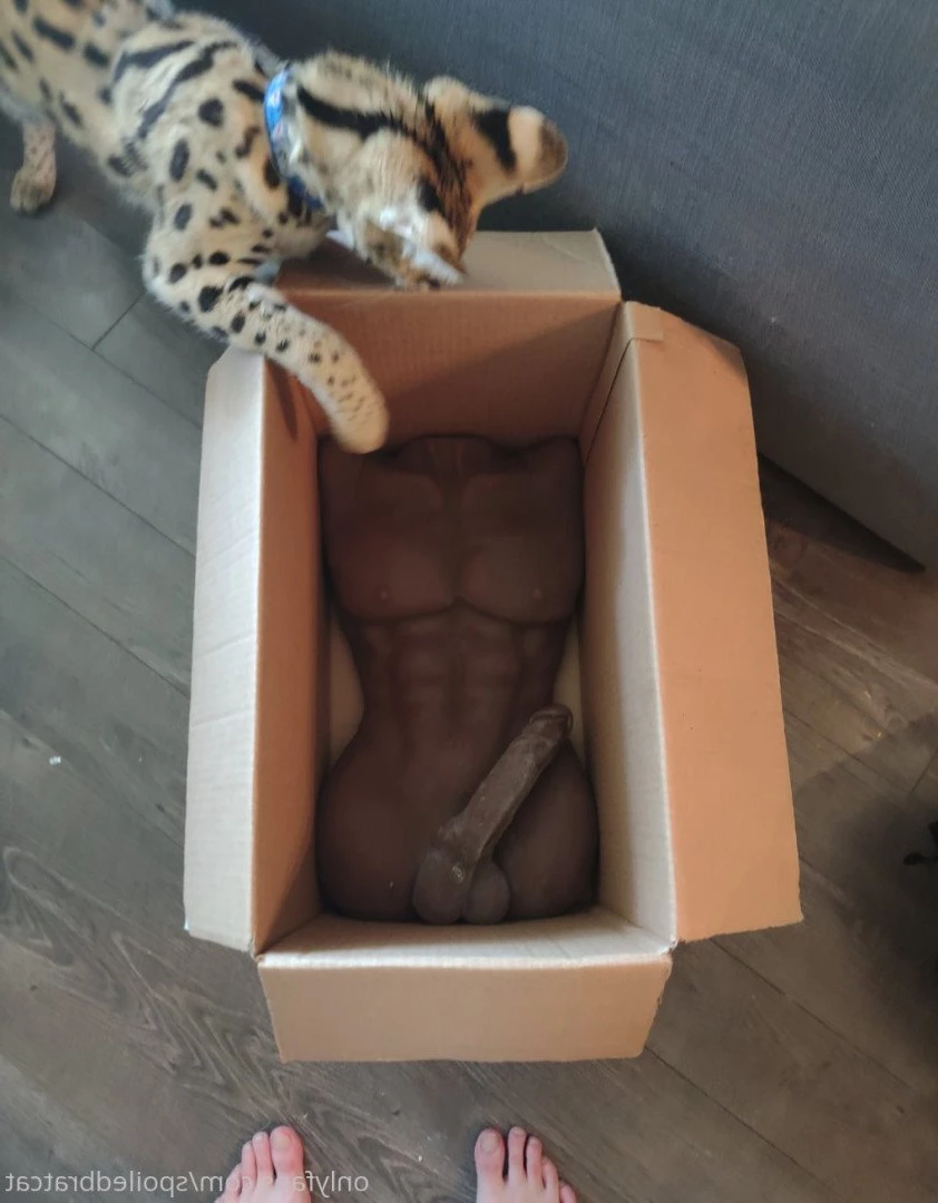 𝗖𝗔𝗧 🎮 [ spoiledbratcat ] Onlyfans leaked photo 4226091 on Hotleaks.tv