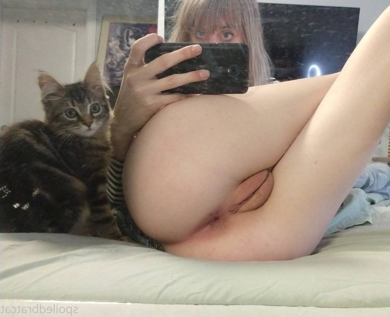 𝗖𝗔𝗧 🎮 [ spoiledbratcat ] Onlyfans leaked photo 3454 on Hotleaks.tv