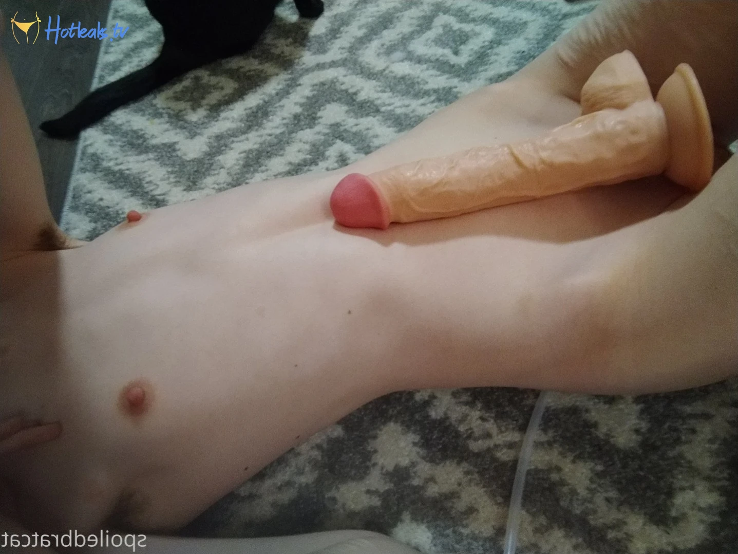 𝗖𝗔𝗧 🎮 [ spoiledbratcat ] Onlyfans leaked photo 3492 on Hotleaks.tv