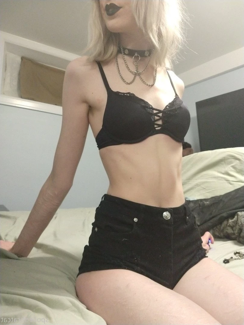 𝗖𝗔𝗧 🎮 [ spoiledbratcat ] Onlyfans leaked photo 3553 on Hotleaks.tv