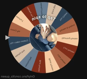 12094478