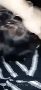 kali [ l0v3lyboyy ] Onlyfans leaked video 1915956 on Hotleaks.tv