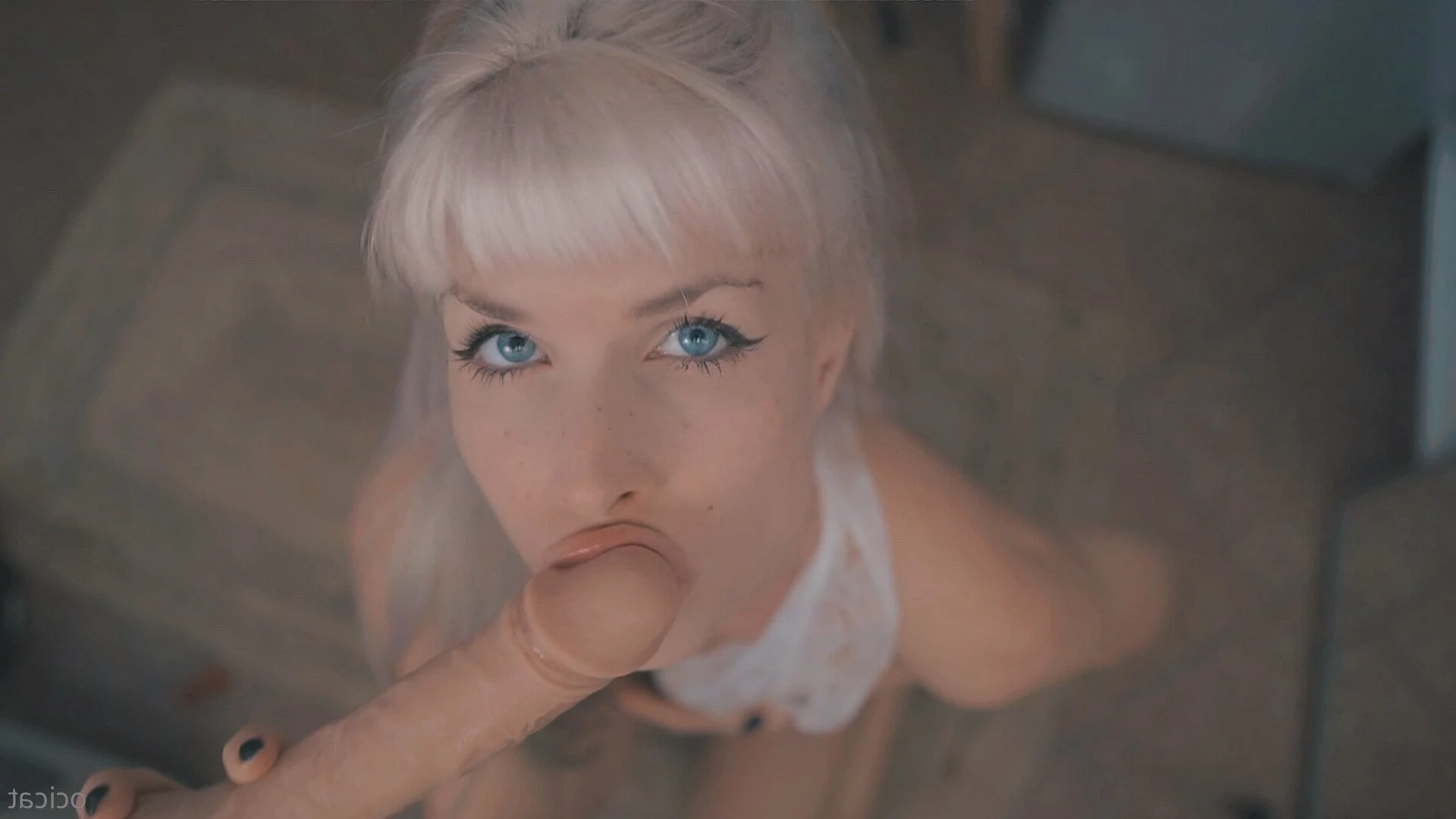 Jana [ ocicat ] Onlyfans leaked photo 1774876 on Hotleaks.tv