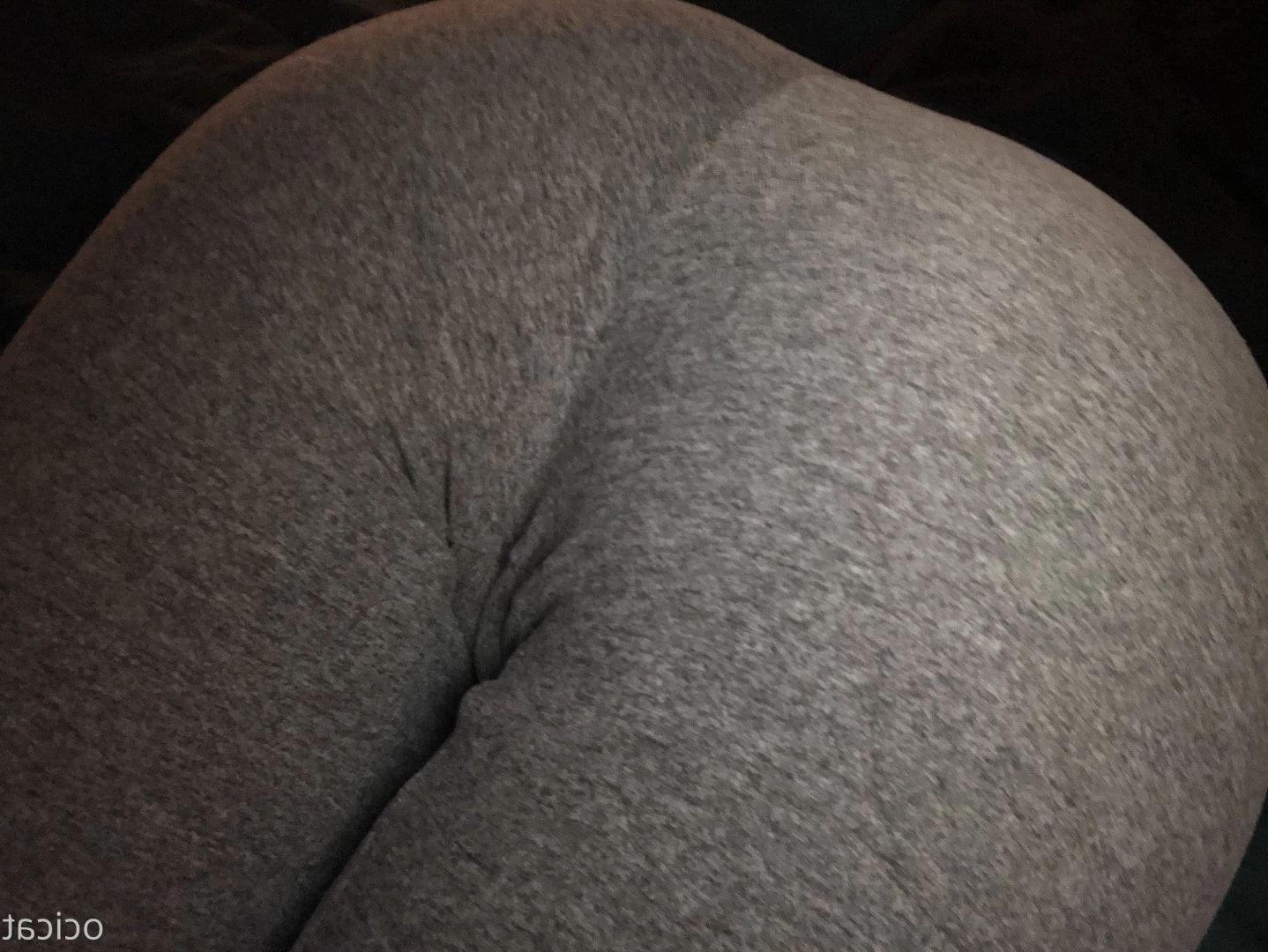 Jana [ ocicat ] Onlyfans leaked photo 1775459 on Hotleaks.tv