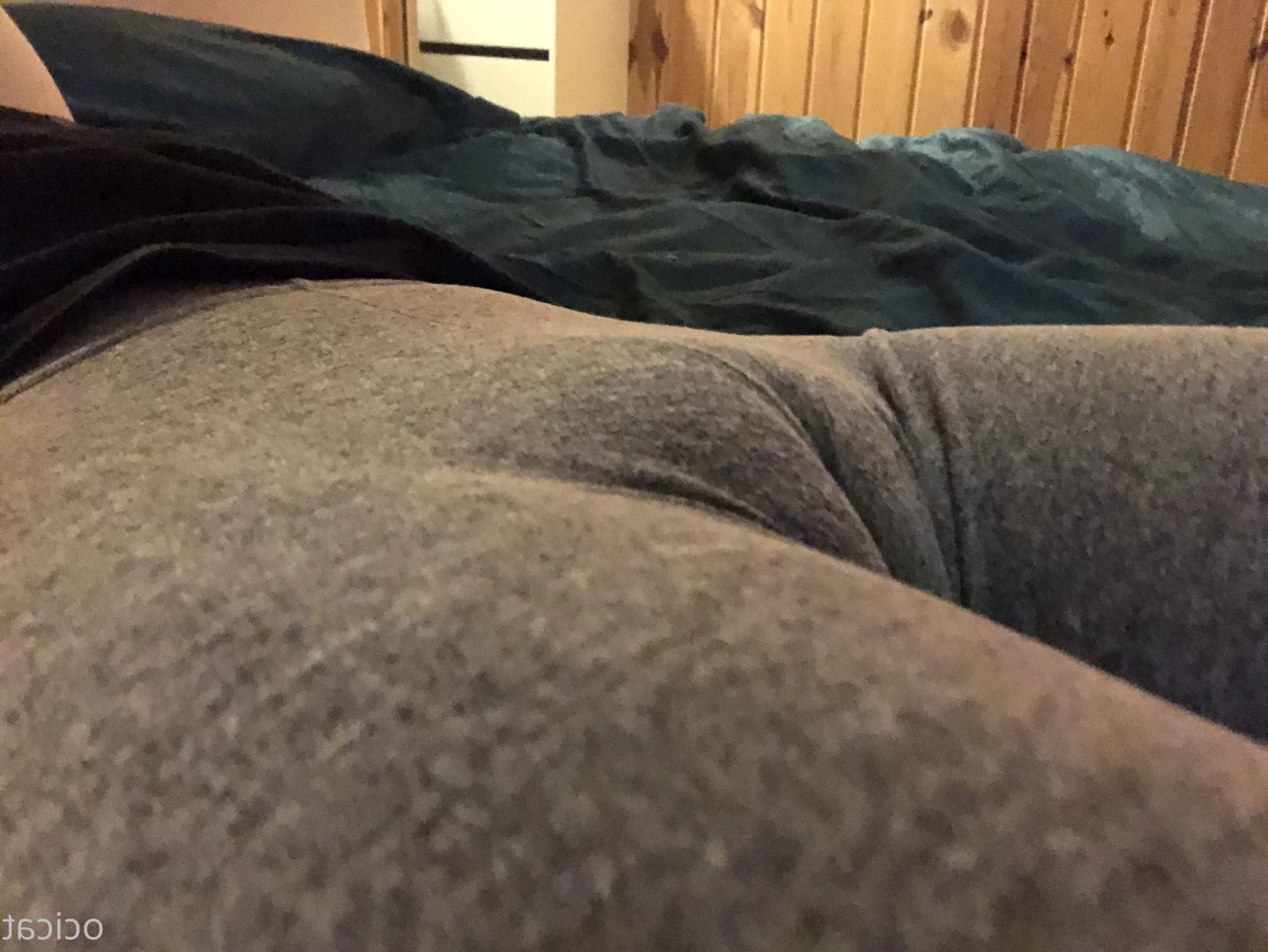 Jana [ ocicat ] Onlyfans leaked photo 1775728 on Hotleaks.tv