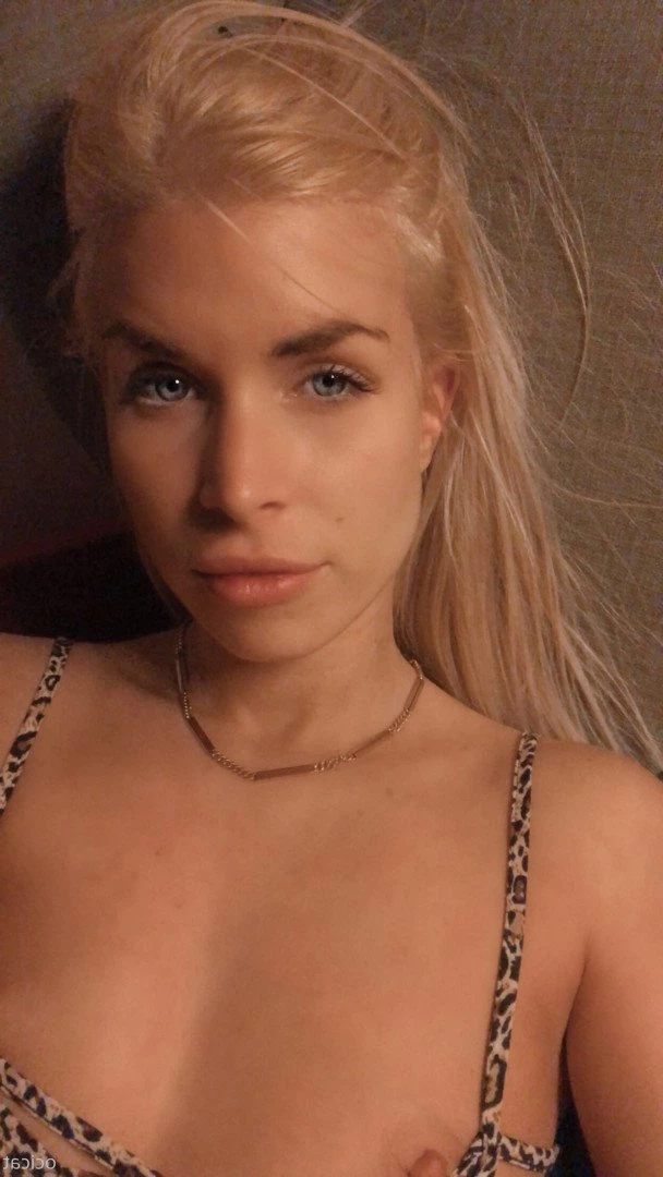 Jana [ ocicat ] Onlyfans leaked photo 1776041 on Hotleaks.tv