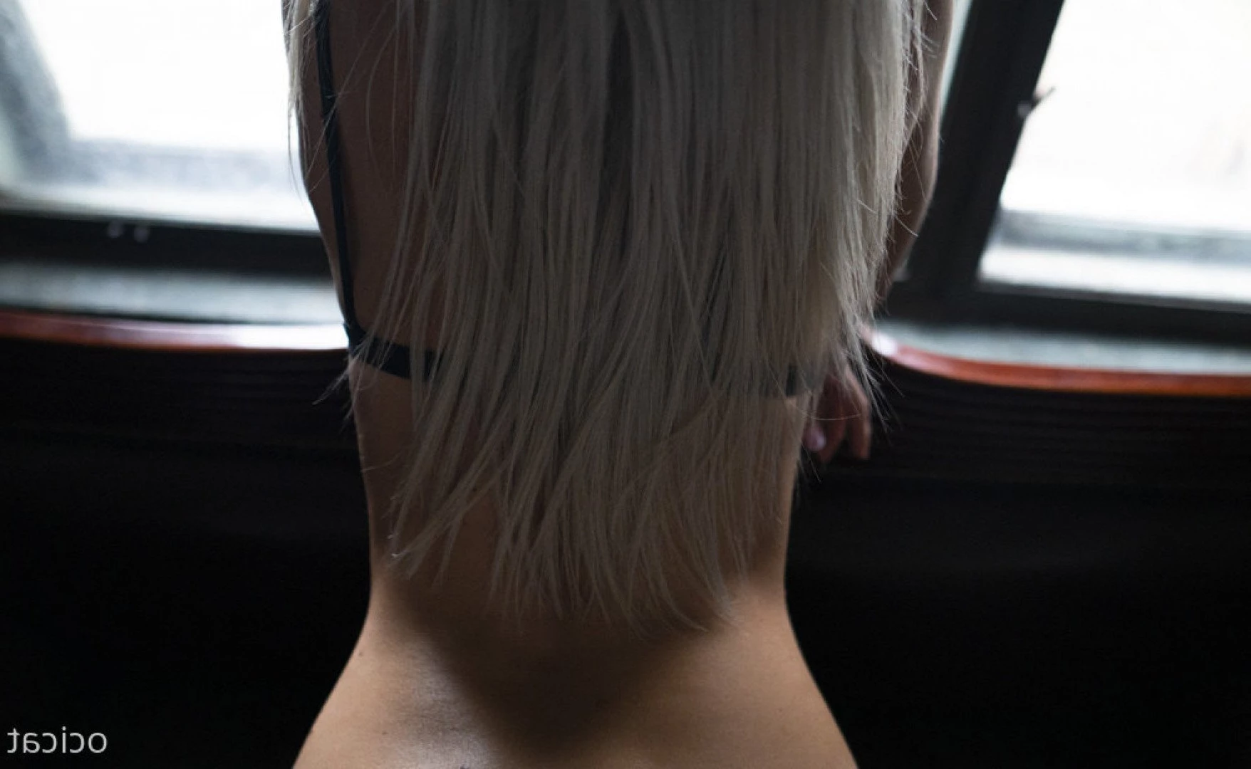 Jana [ ocicat ] Onlyfans leaked photo 1776344 on Hotleaks.tv