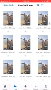 10692417