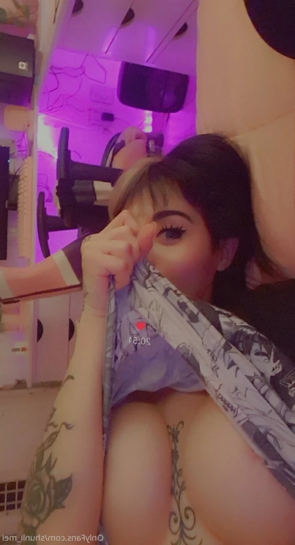 Shunli Mei [ shunli_mei ] Onlyfans leaked photo 1819473 on Hotleaks.tv