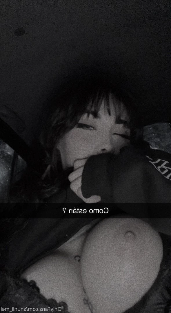 Shunli Mei [ shunli_mei ] Onlyfans leaked photo 1938820 on Hotleaks.tv