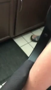 4803704