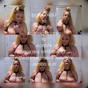 7754162