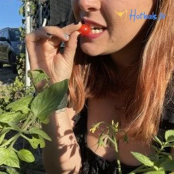 AllAroundFarmer🌙