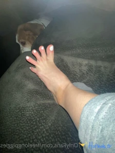 freelongpiggies