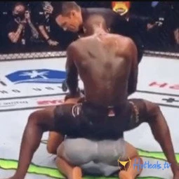 freestylebender