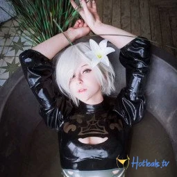 Vulpis