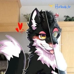 yiffykitty