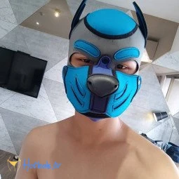 壞狗狗
