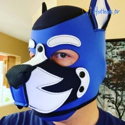 holetrainerleo