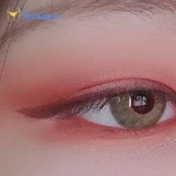 잎싹