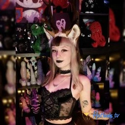 little_pixie_kitten