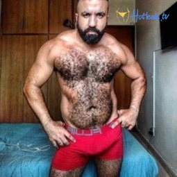 musclebearbrazil