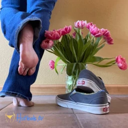 Queen_of_Vans