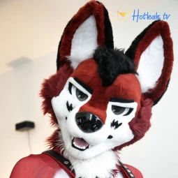 wolf_ezo