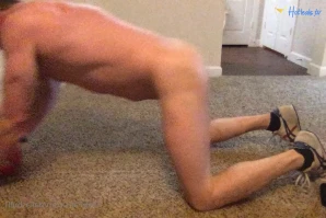 dallasbull1