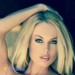 the_anita_dark