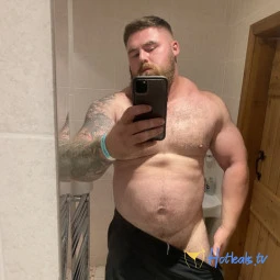 alpha_bear_al