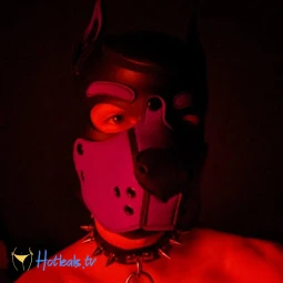 badboxerboy