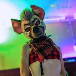 ryffhyena