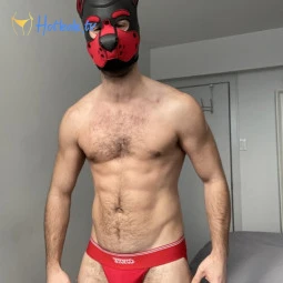 Fit Muscle Pup Xylo